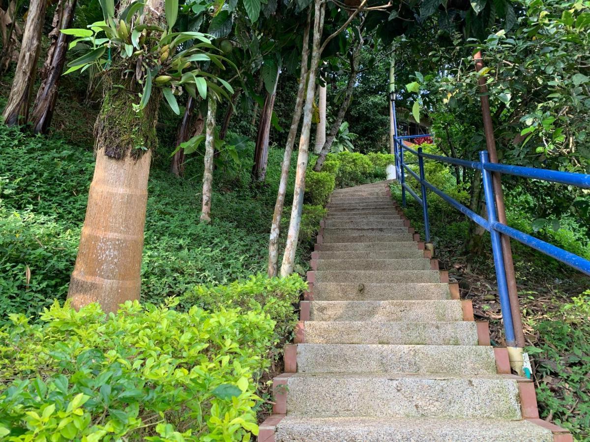 Finca Altamira La Vega  Kültér fotó